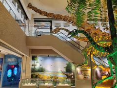 -甘肃地质博物馆