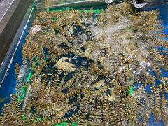 -盒马鲜生(顺义店)