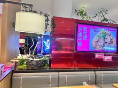 -老板恋上鱼(恒隆广场店)