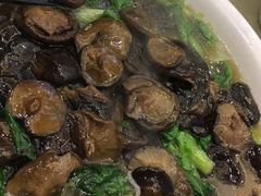 -东豪园林海鲜酒家(南港路辅路店)