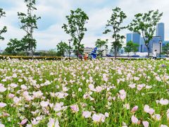 -上海山野camping·户外天幕烧烤·团建拓展营地