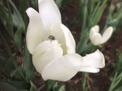 -长春公园(普阳街道)