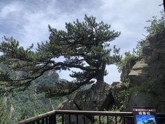 -老界岭旅游度假区