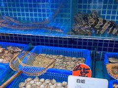 -必点海鲜·鲅鱼水饺(鞍山西道店)