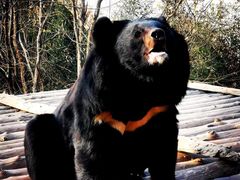 -济南野生动物世界