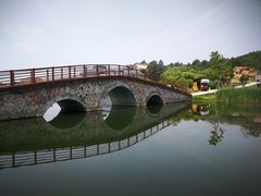 -大塘金香草谷