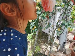 -蓝天路(地铁站)