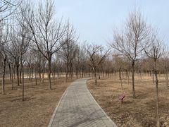 -东郊湿地公园
