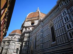 -圣母百花大教堂穹顶