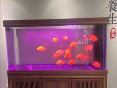 -金蚁康•经络调理•肩颈按摩(万达金街店)