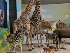 -陕西自然博物馆