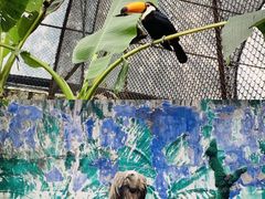 -杭州野生动物世界