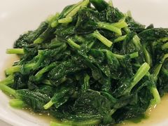 白酒有机豆苗-瑞福园联谊餐室(茂名南路店)