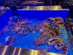 -SEA西雅图海鲜自助餐厅(海乐世界店)