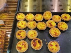 -幸福鸟动物奶油生日蛋糕(军校店)