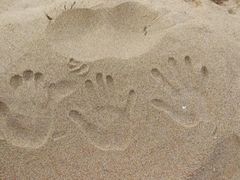 -北方饺子王·海肠捞饭·海鲜锅(山大店)