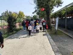 -前小桔亲子创意农场·草莓采摘·露营烧烤