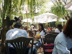 -Fern Forest Cafe