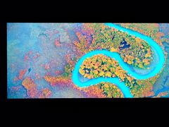 -罗红摄影艺术馆