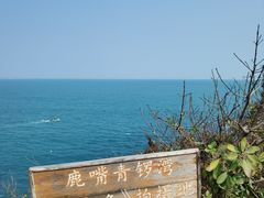 -杨梅坑