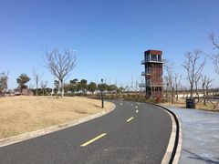-春花秋色城市公园