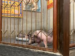 -三肥两瘦烤肉(鹿城店)