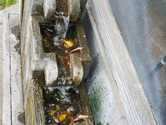 -乌布德传统市场