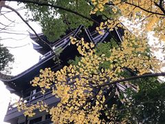 -范蠡湖公园