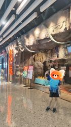 -探洞工场(丰科万达旗舰店)