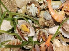 -船梆煮•蒸汽海鲜·炉火烤肉(五四广场店)