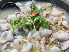 -大鼎石锅鱼(春江里店)