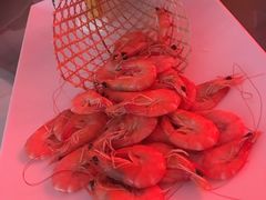 -苏州吴中白金汉爵大酒店