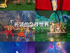 -重庆国际马戏城