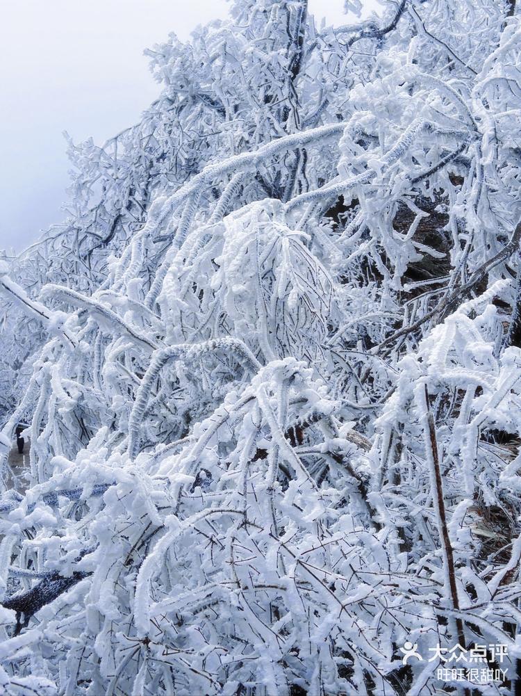 南京雪景紫金山图片