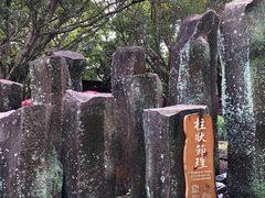 -海口火山口国家地质公园