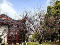 -堤角公园