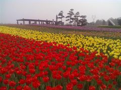 -石家庄市植物园