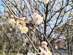 -蜀冈西峰生态公园