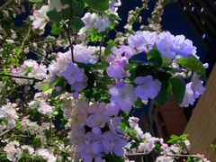 -天津水游城丽筠酒店