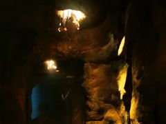 -费瑟代尔野生动物园