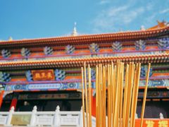 -东莞市大岭山森林公园