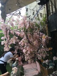 -BabyA 专业婴童摄影(古北时尚广场店)