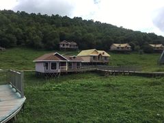 -关山草原