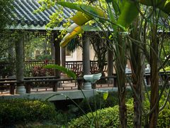 -大亚湾红树林城市湿地公园