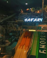 -卡通尼·Safari非洲探索乐园·生日会(金桥国际商业广场店)