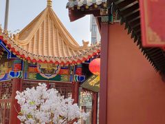 -天津市峰山药王古寺