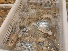 -一方渔歌蒸汽海鲜自助(文化路万达广场店)