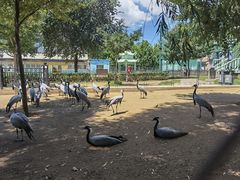 -秦皇岛野生动物园