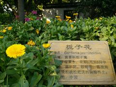 -汇龙潭