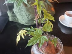 -木守西溪溪隐餐厅